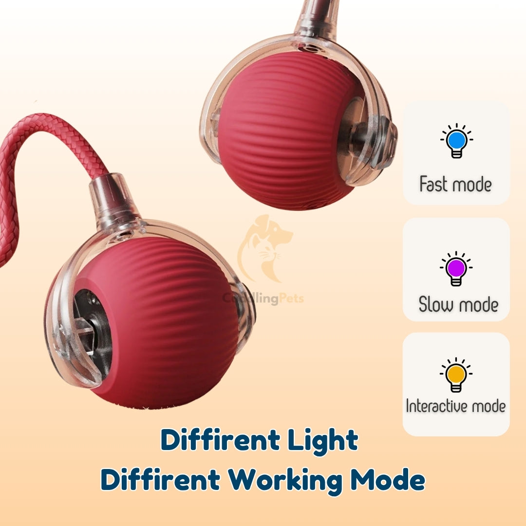 Smart Interactive Ball - CuddlingPets™