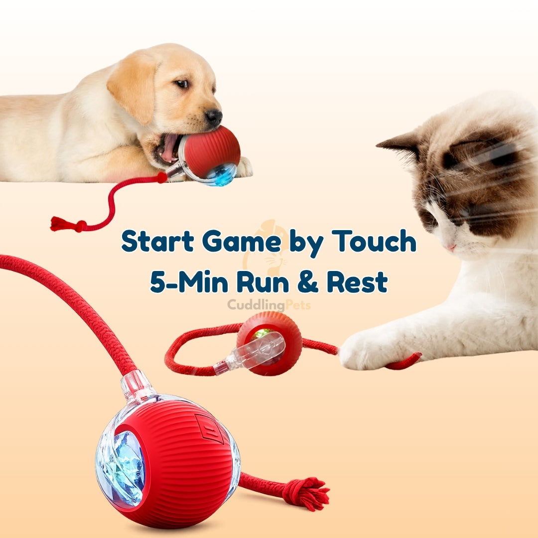 Smart Interactive Ball - CuddlingPets™