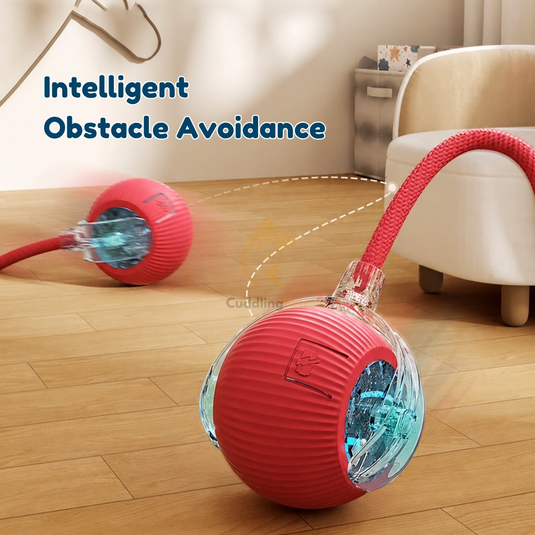 Smart Interactive Ball - CuddlingPets™